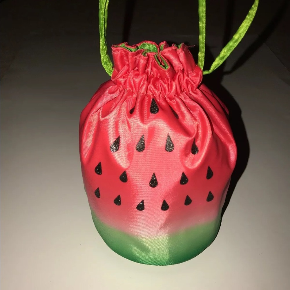 🍉 NWT Charming Charlie Watermelon Mini Purse Bag